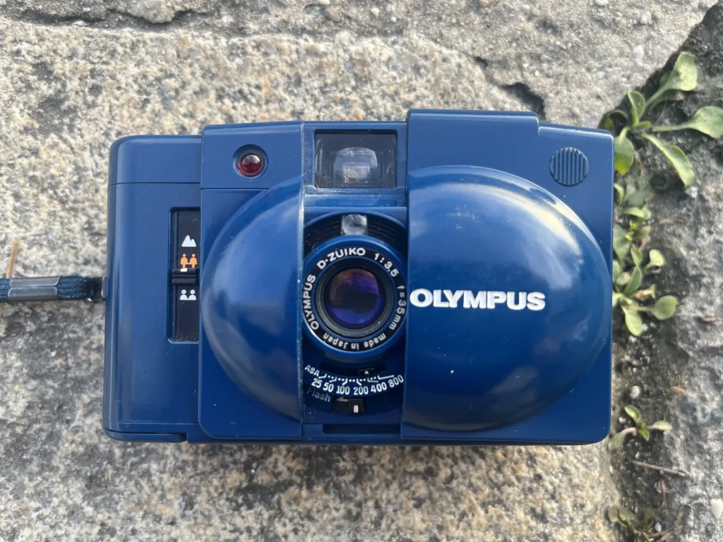 A Brief Guide On How Long Do Disposable Cameras Last
