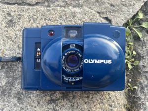 A Brief Guide On How Long Do Disposable Cameras Last