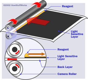 How Does A Polaroid Camera Work